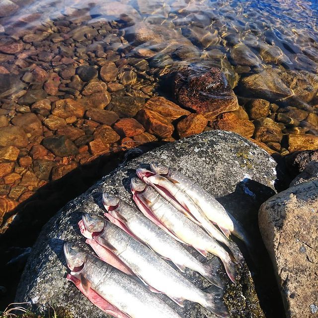 norway fishing norway fishing