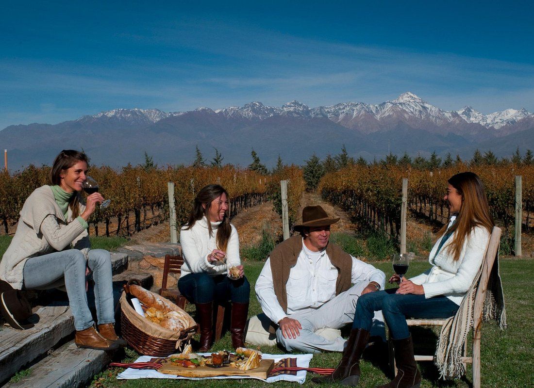 Wine experience in Argentina's vineyard landscape