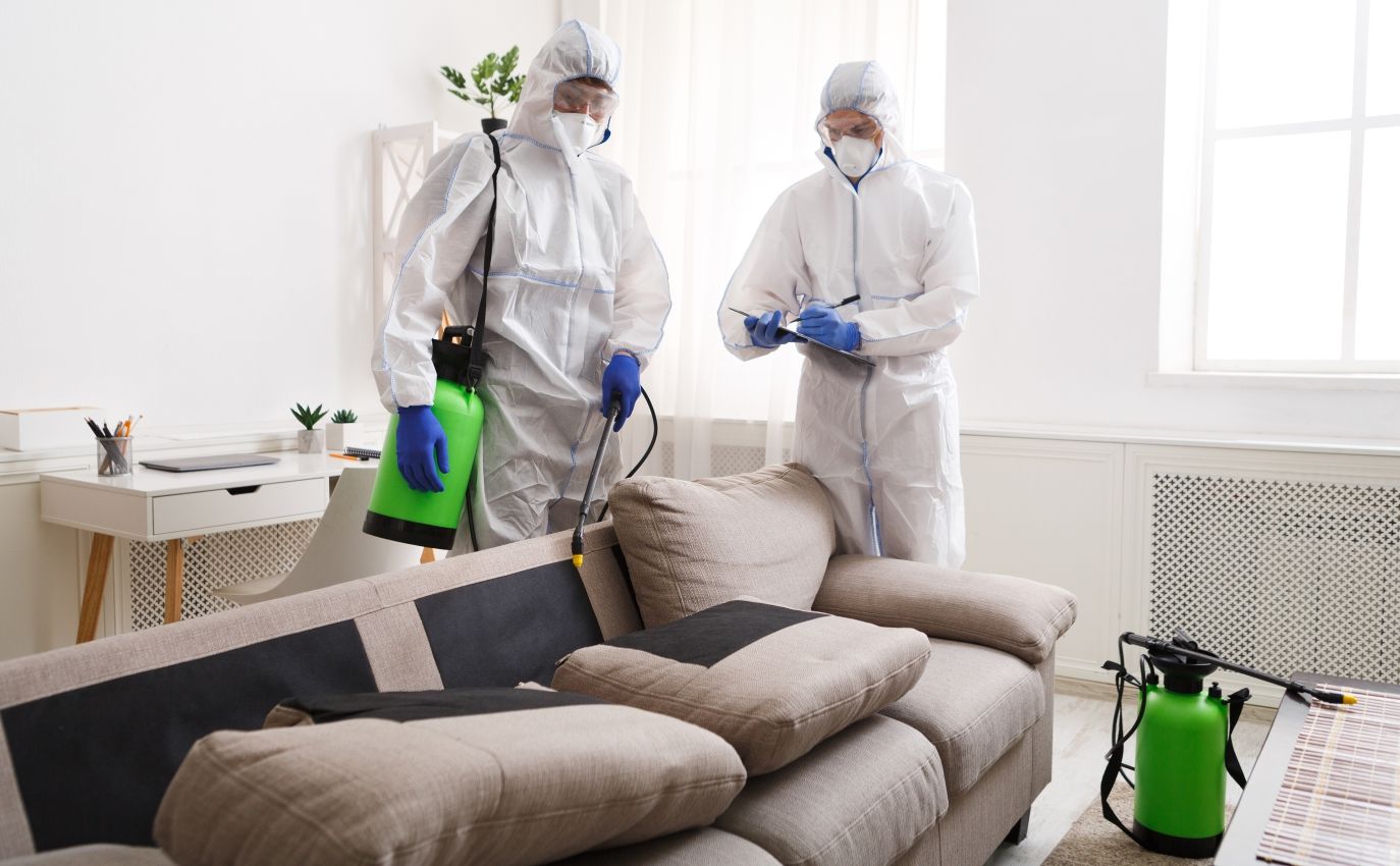 wasp removal Toronto, cockroach treatment, termite control, ant infestation Toronto, spider control, mice removal Toronto, rat control services,