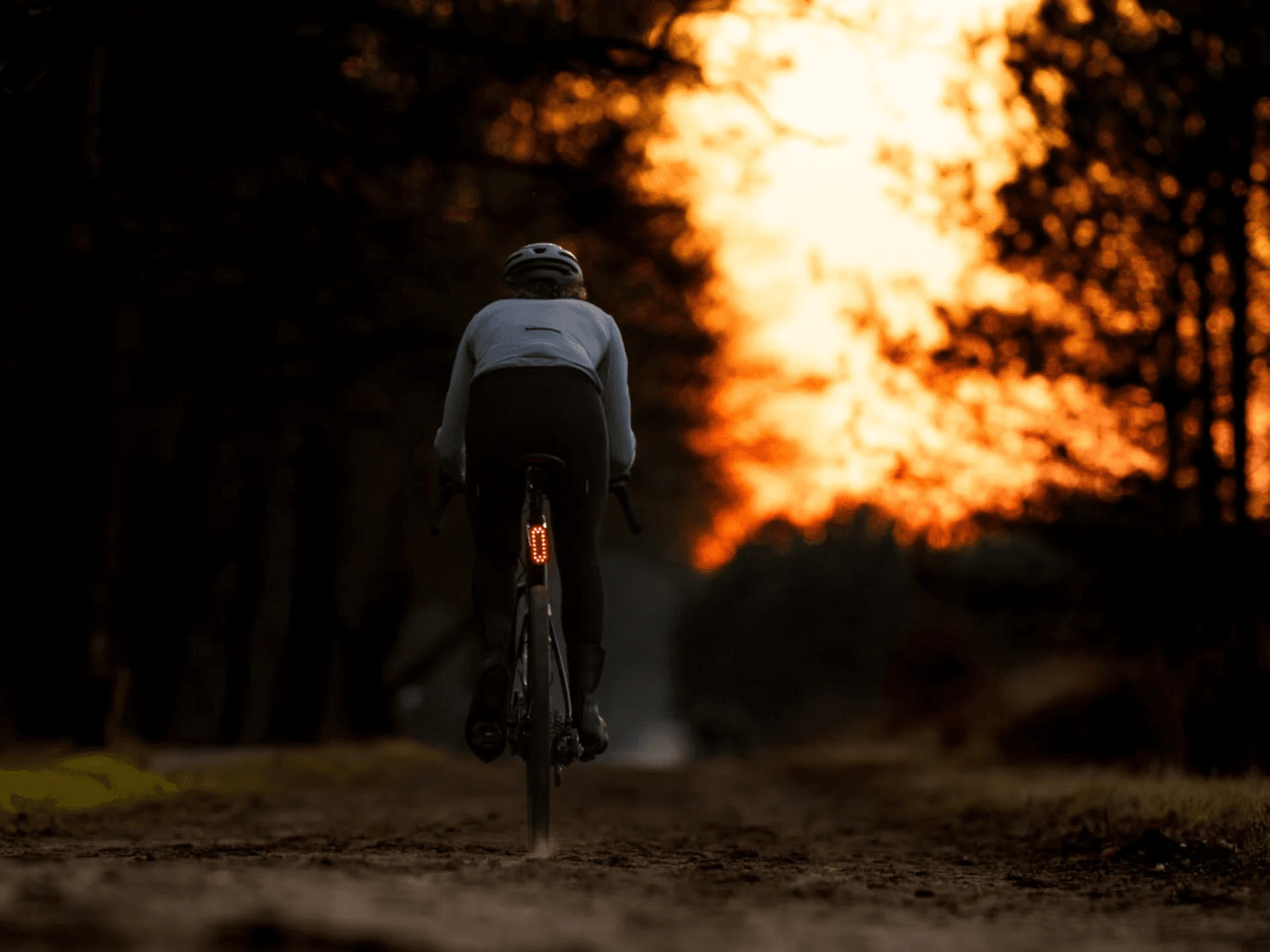 BLS-251 Signal Radar BLS-251 Signal Radar