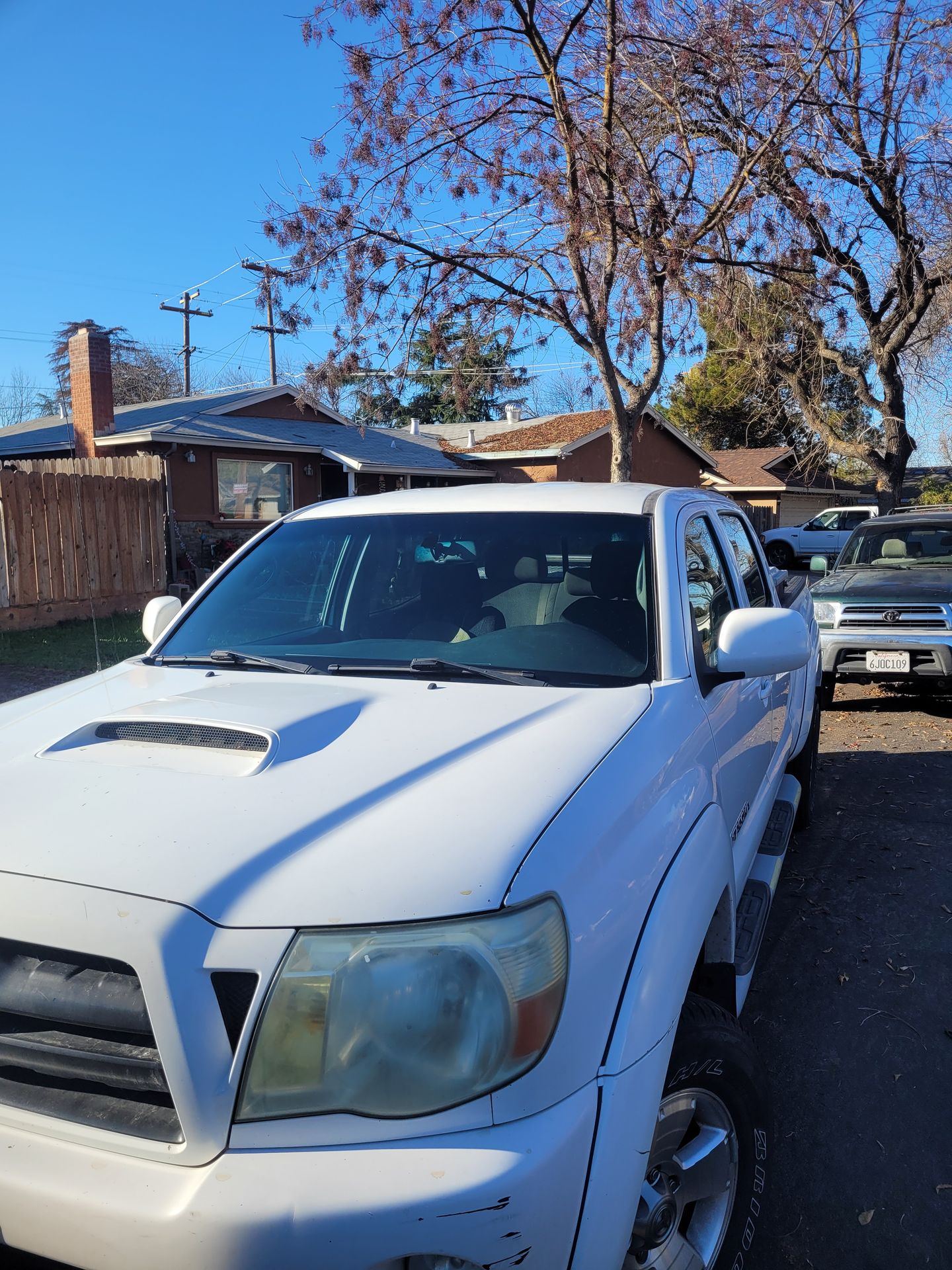 technician repairing windshield