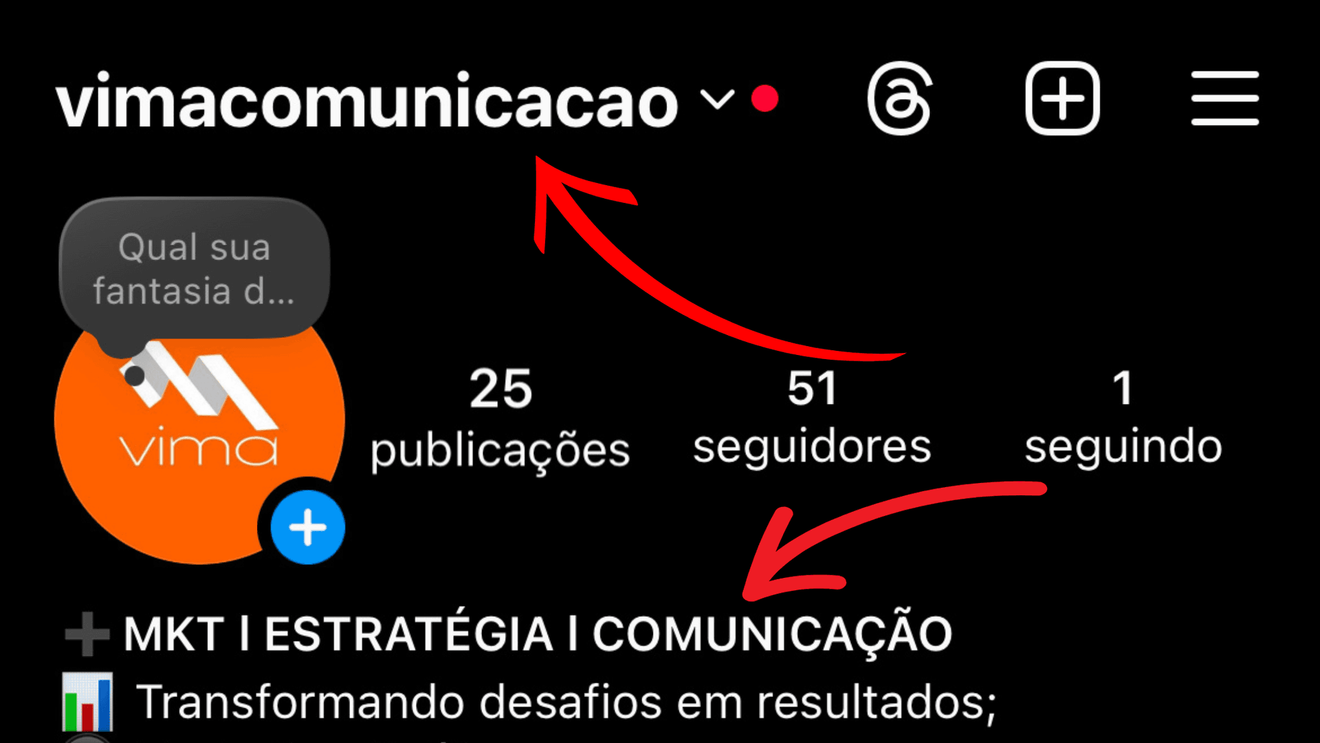 Marketing Instagram Vima