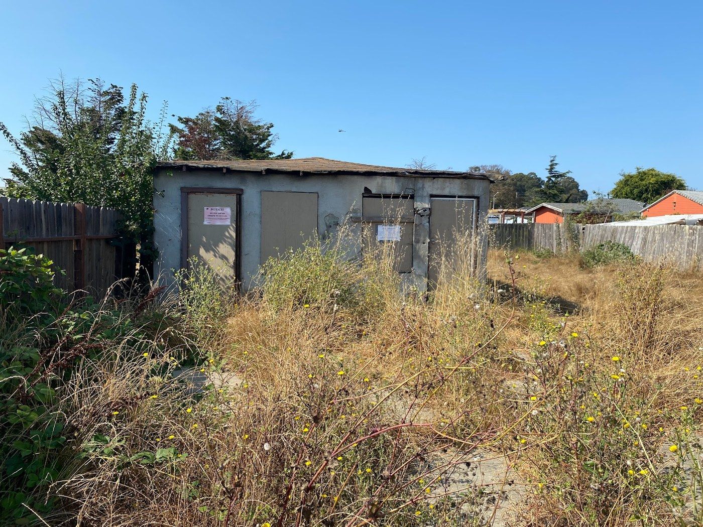 Richmond project, photo 06: Rear building and overgrown site