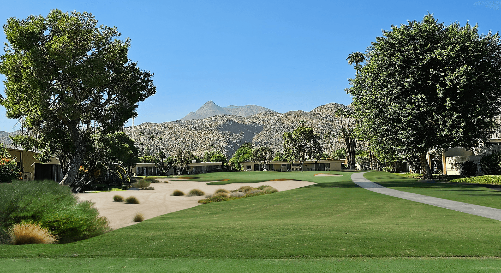 Image of After turf reduction or conversion. Image of After turf reduction or conversion.