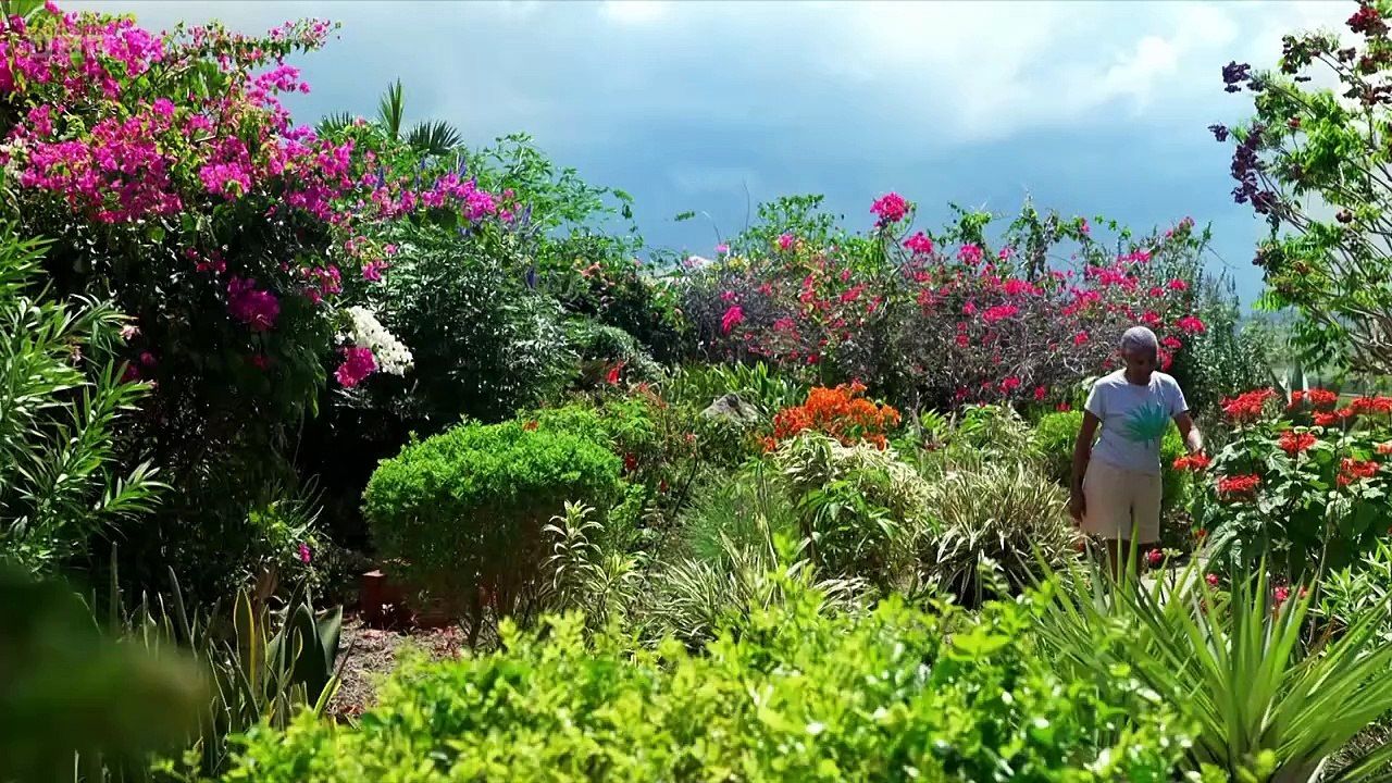 flower competition flower competition