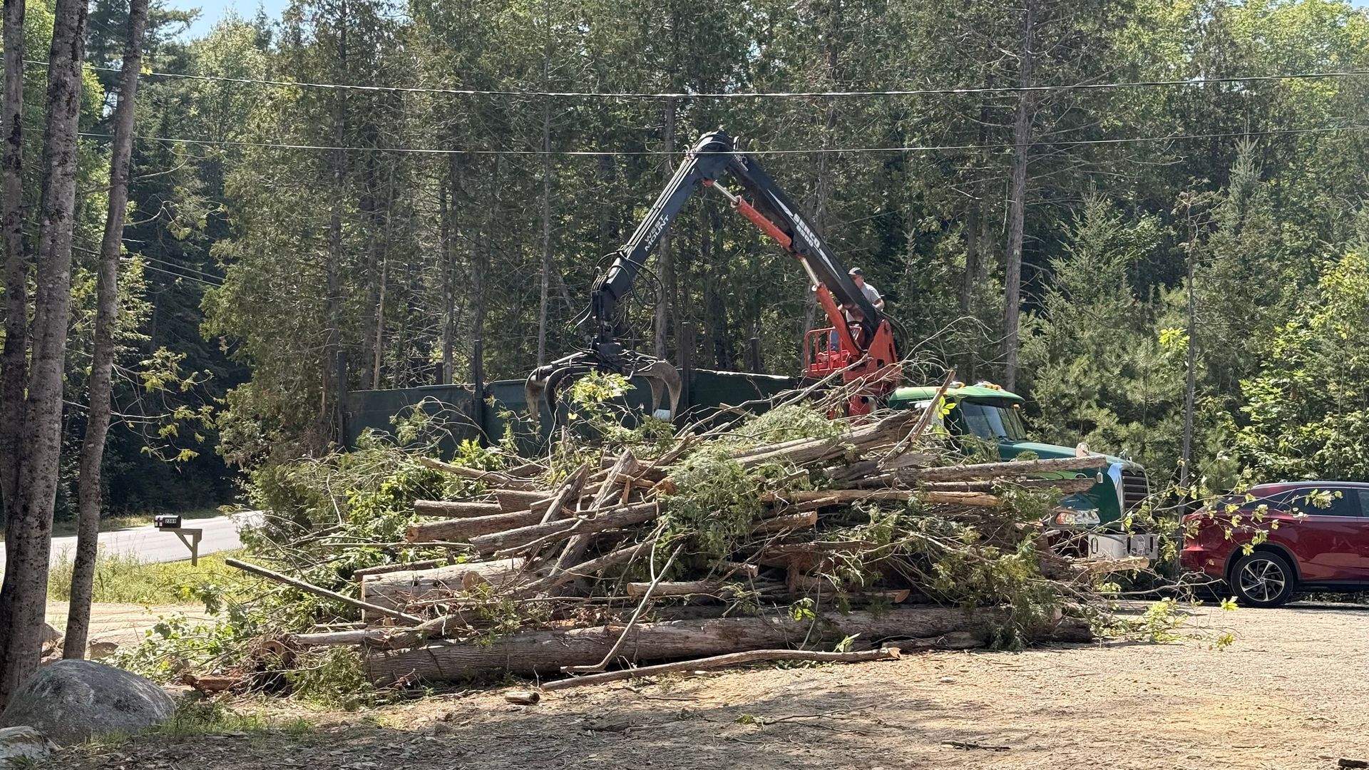 Forestry equipment loading cut tree logs into truck in Bangor Maine during professional tree removal service