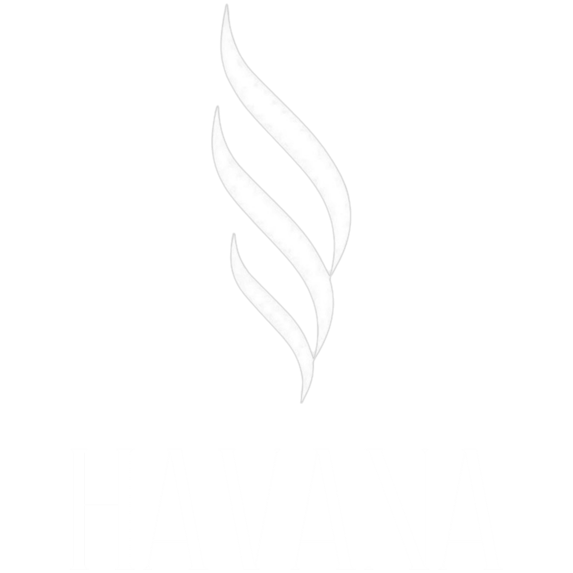 HAVANA LOUNGE LÜNEBURG
