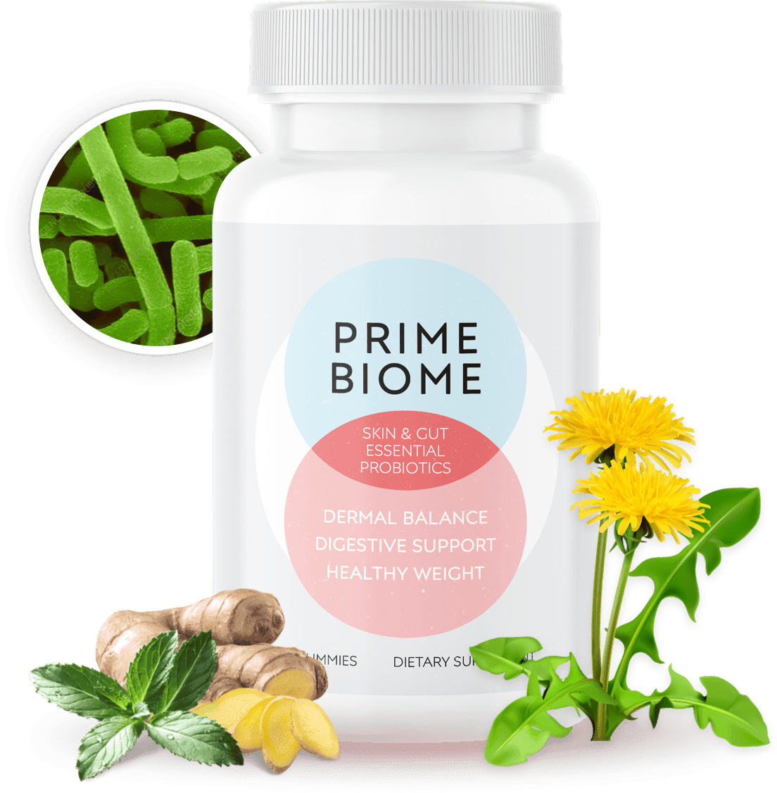 healthy microbiome healthy microbiome