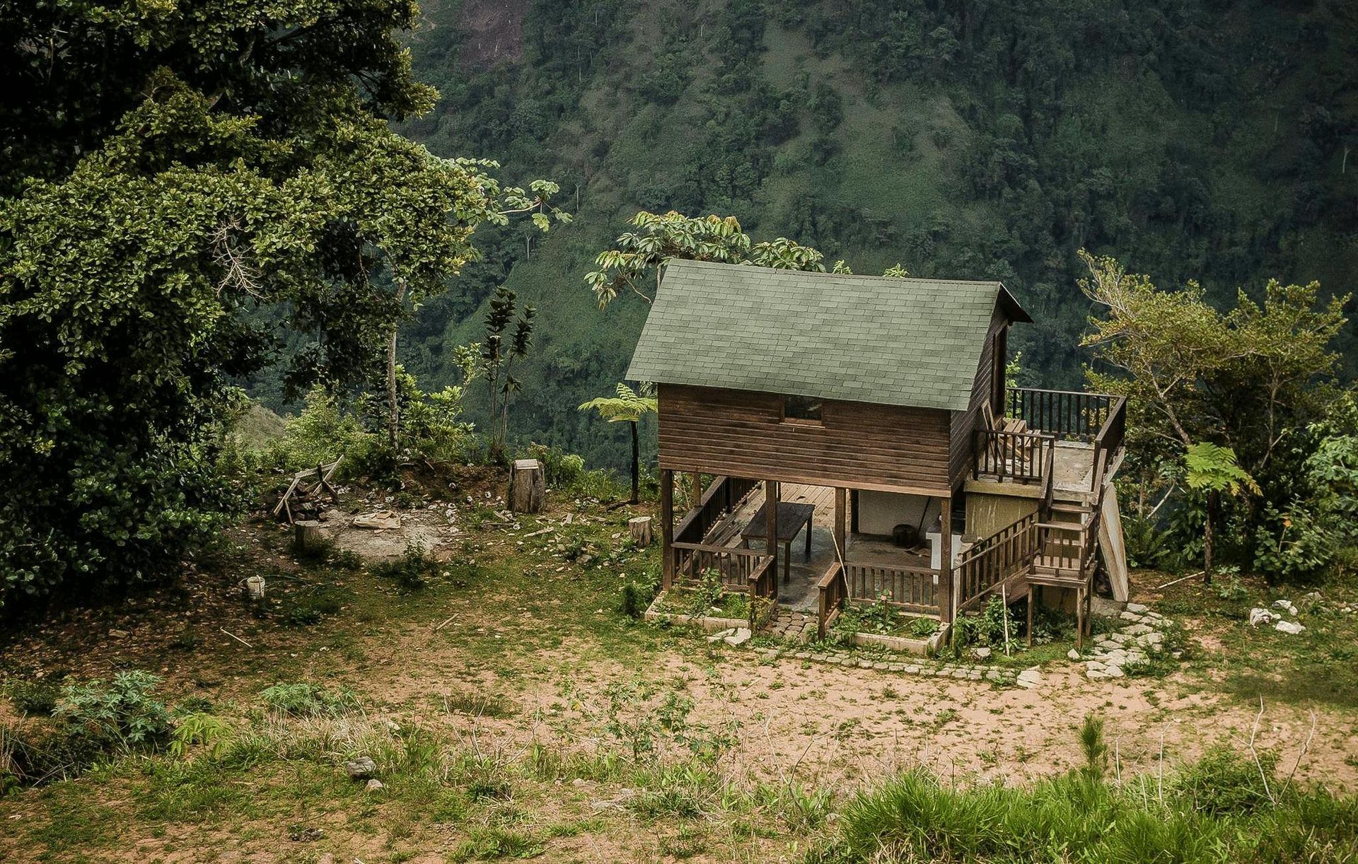 Greenhouse Sanctuary in the Forest Greenhouse Sanctuary in the Forest