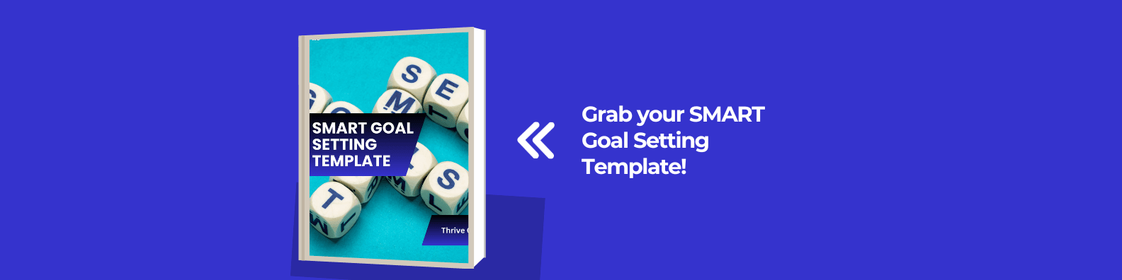 Wisebytes.co SMART Goal Setting Template https://hub.wisebytes.co/shop/smrtgoaltemp