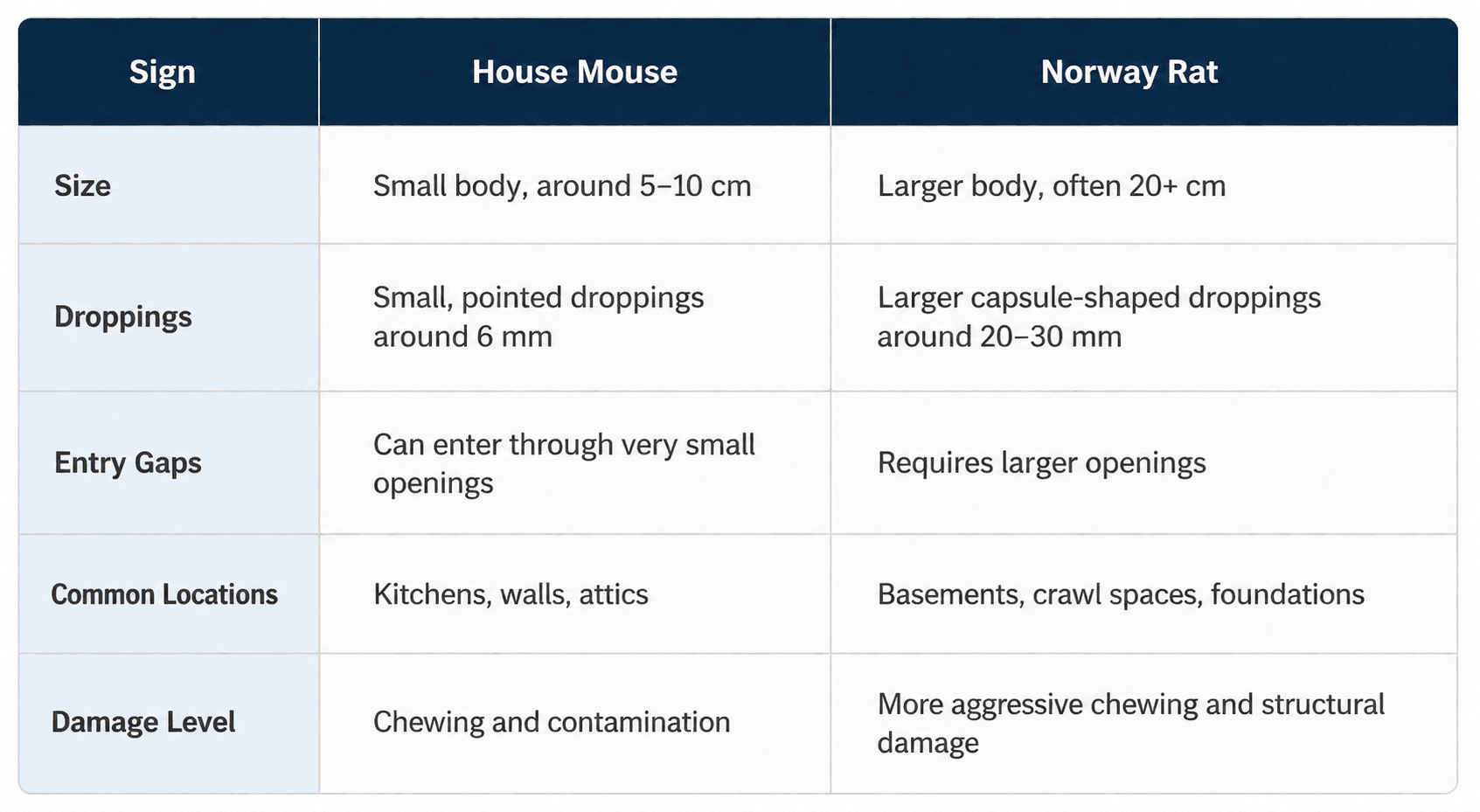 Mouse vs Rat: How to Identify the Problem