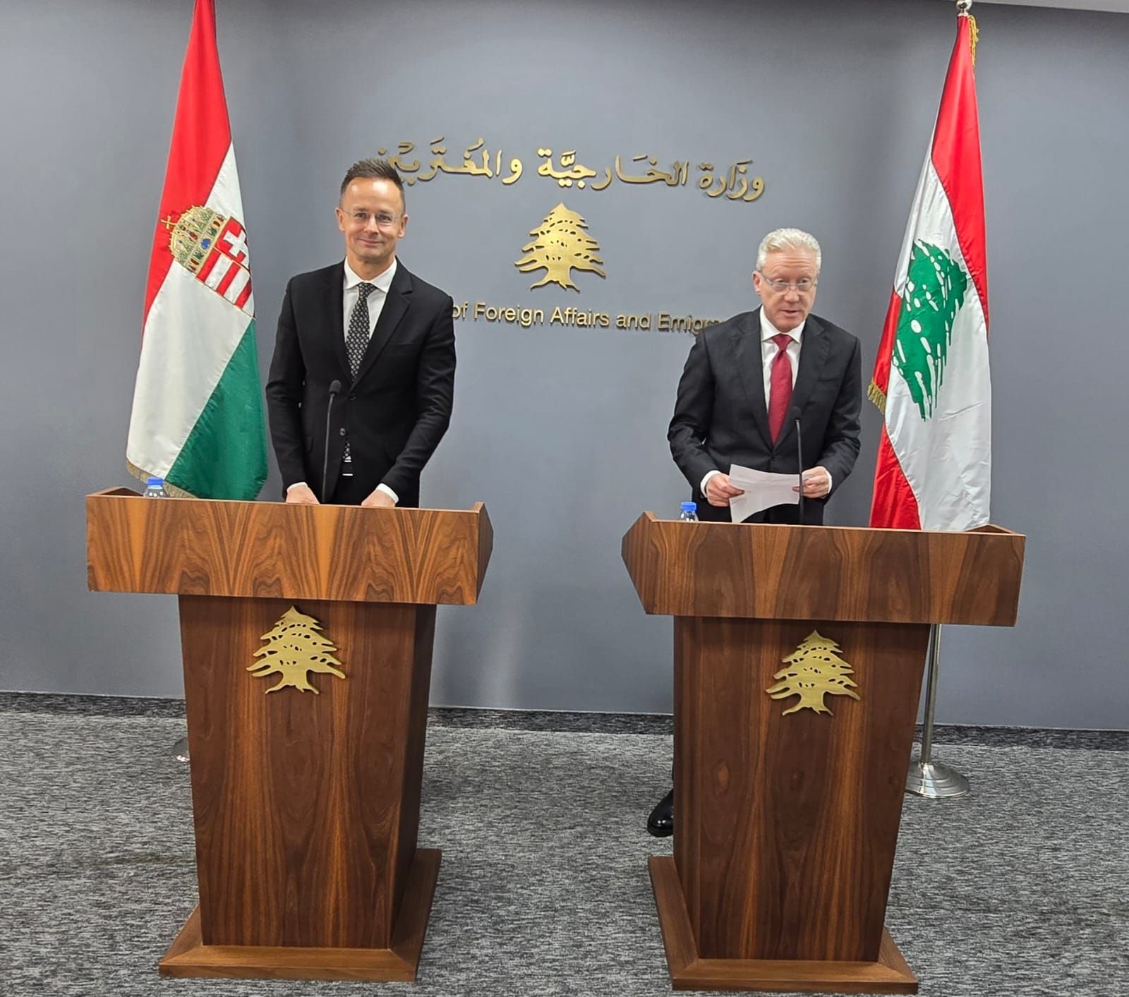 Flag Lebanon grunge texture Flag Lebanon grunge texture