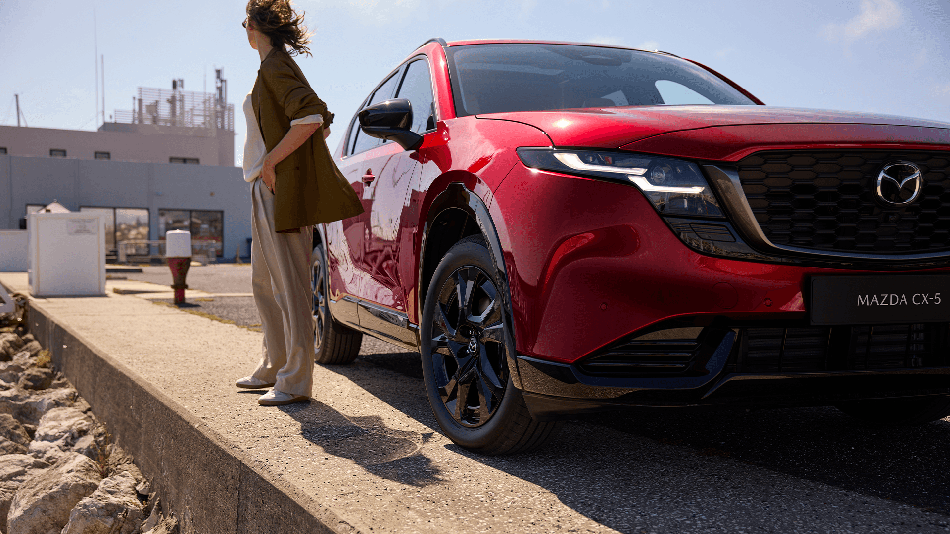 car dealership car dealership