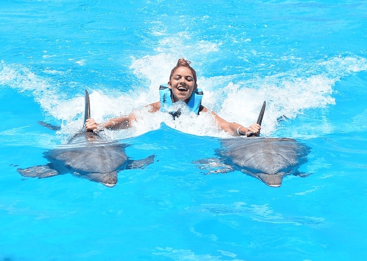 Woman smiling while swimming alongside two dolphins in bright turquoise Caribbean water during a dolphin encounter experience. Woman smiling while swimming alongside two dolphins in bright turquoise Caribbean water during a dolphin encounter experience.