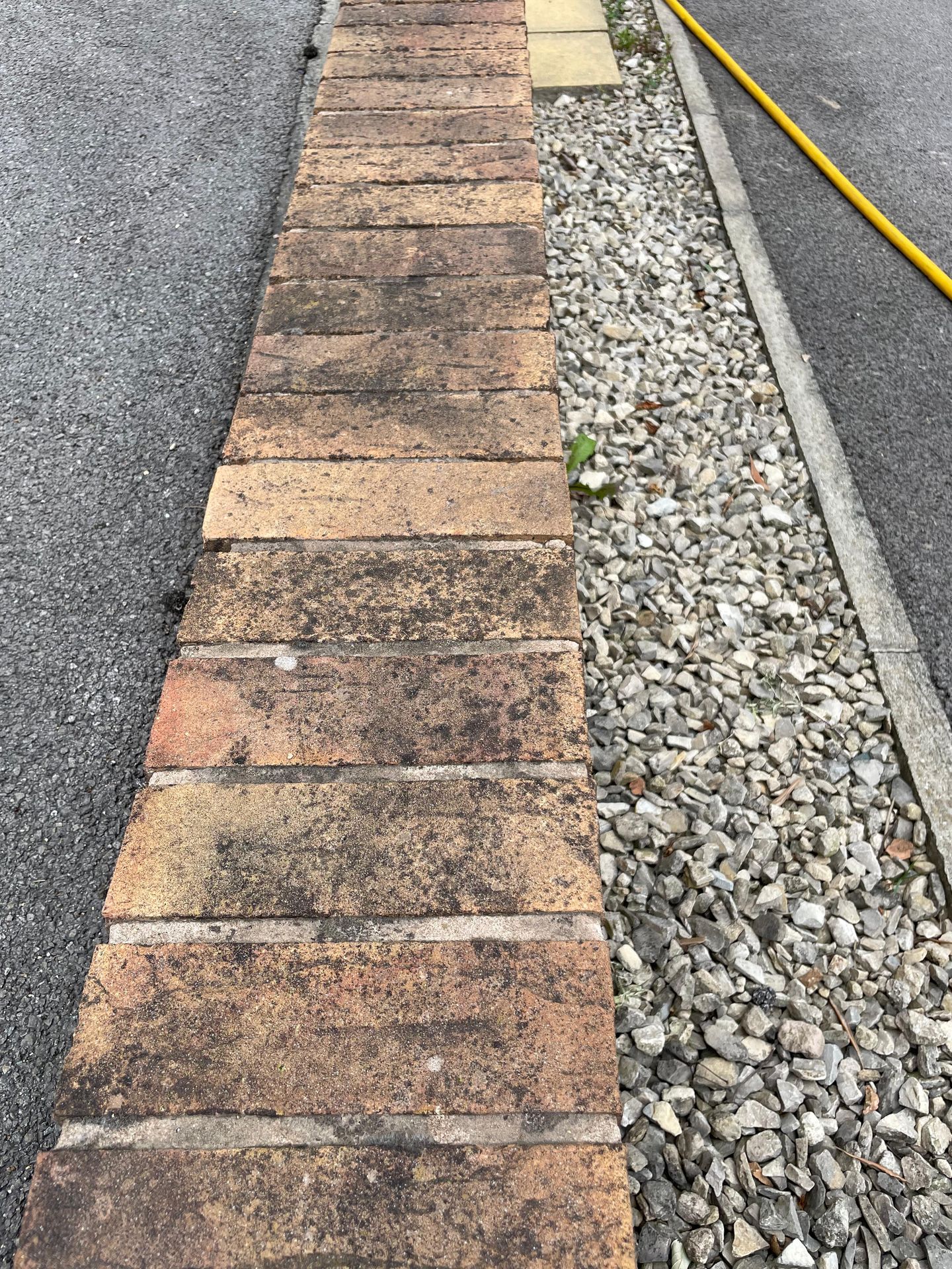 Brick wall covered in Black Spot