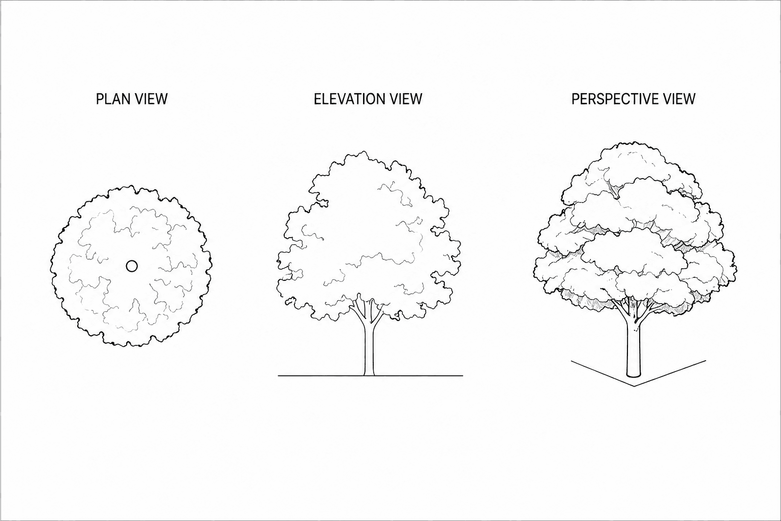 Tree Representation