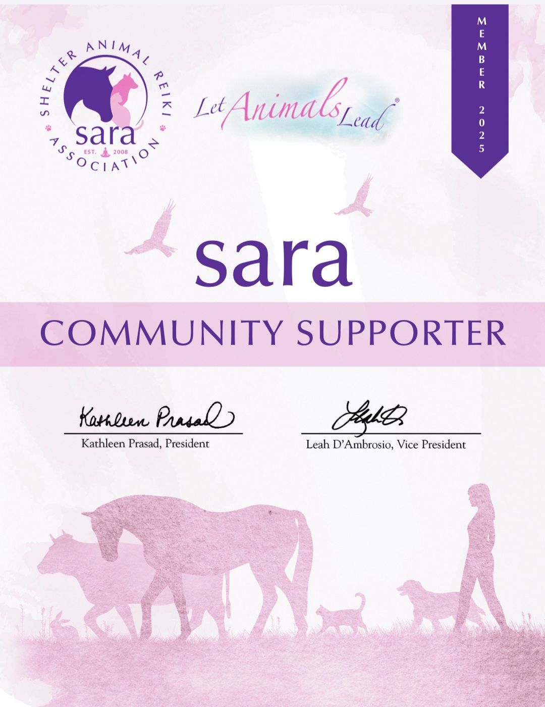 Shelter Animal Reiki Association Certificate