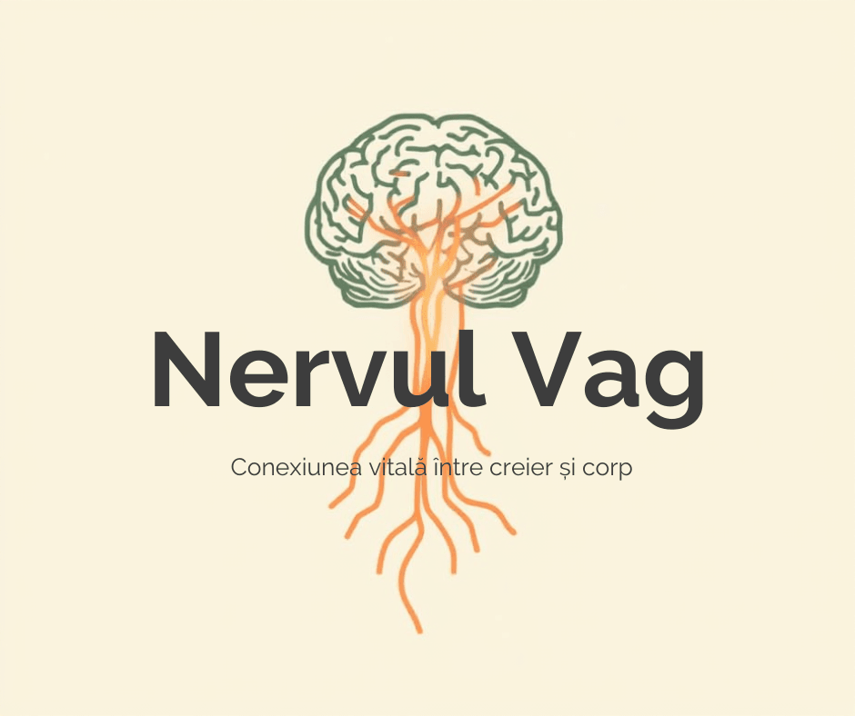 Nervul Vag Nervul Vag