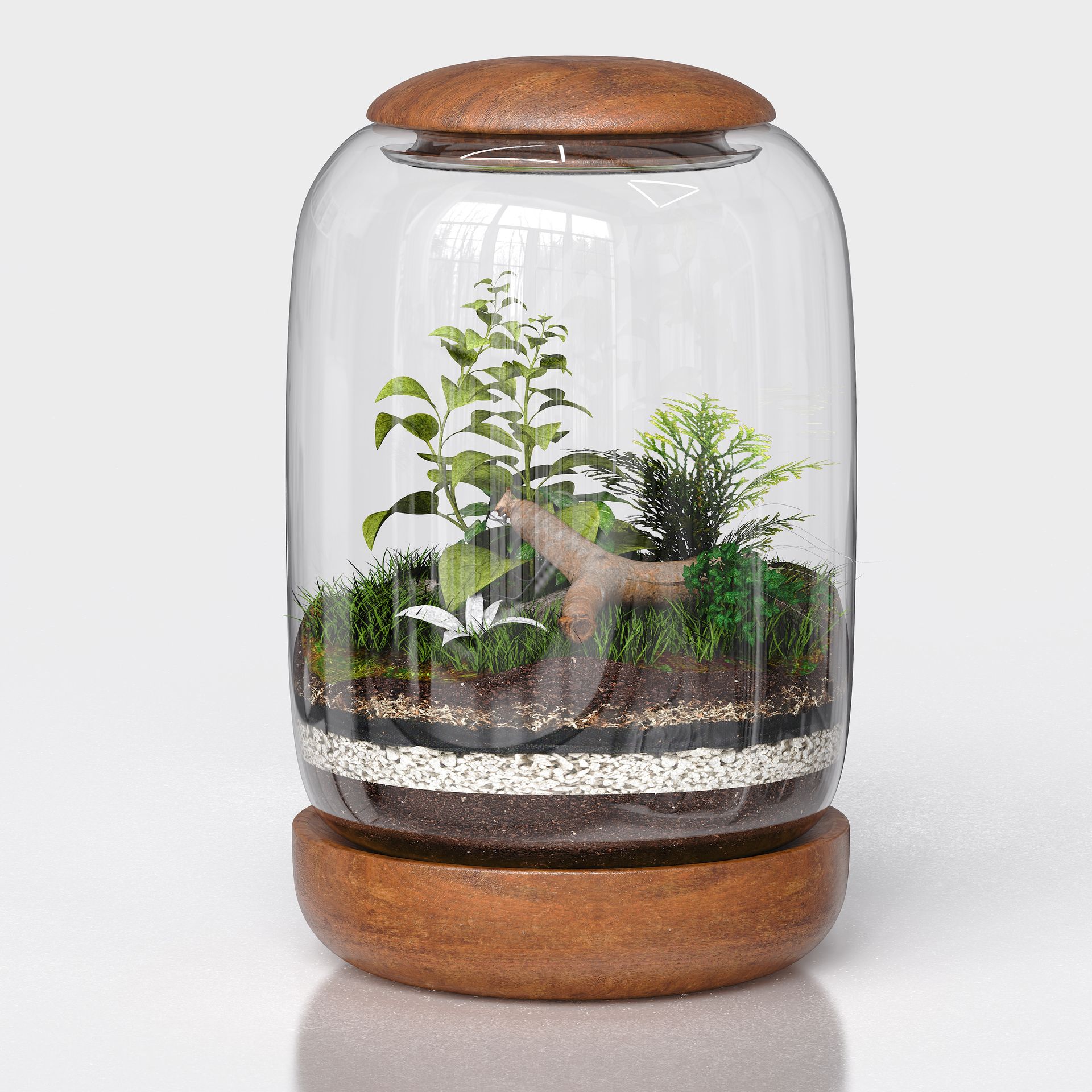 bowl terrarium bowl terrarium