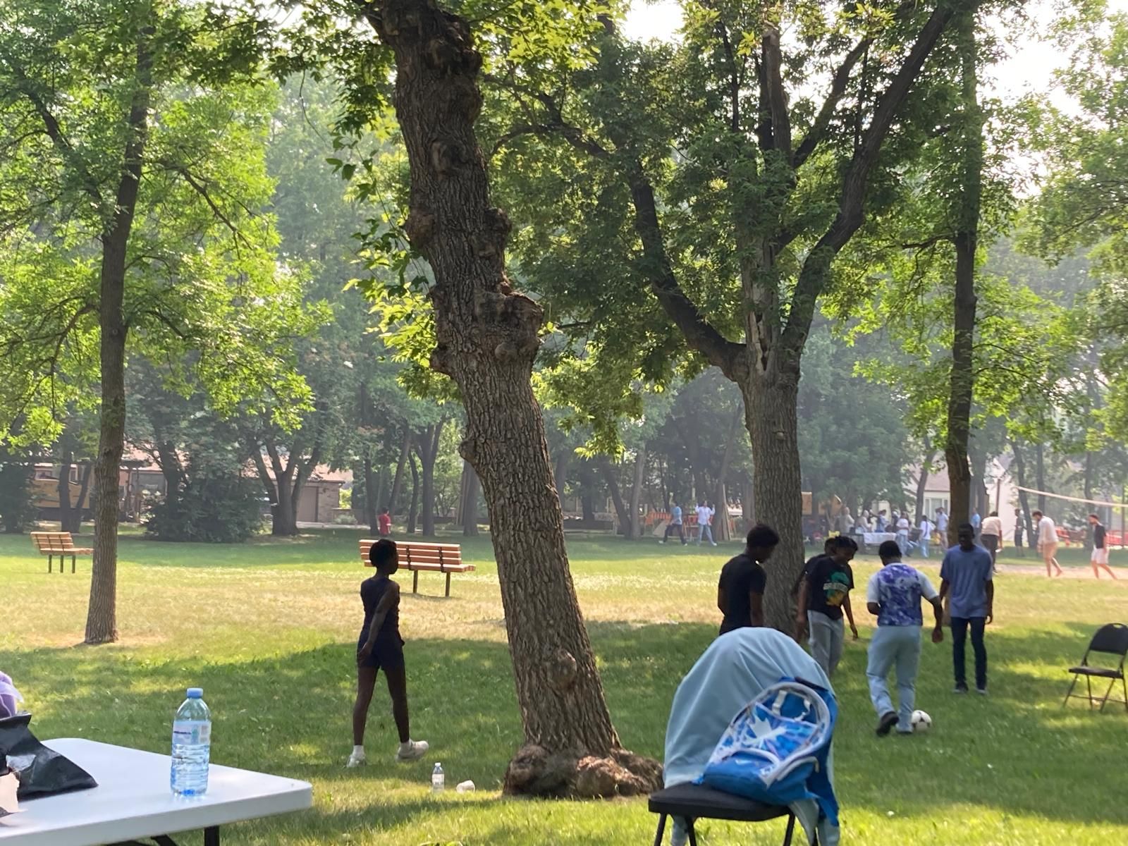 Grandparents, child and park with senior man in wheelchair for support, bonding and fun in morning travel. Smile, family and girl or grandfather with disability for security, trust and adventure