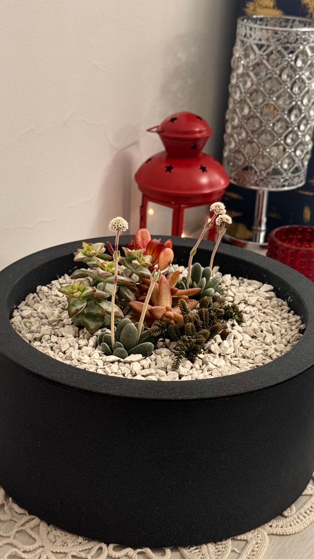 cura delle piante cura delle piante