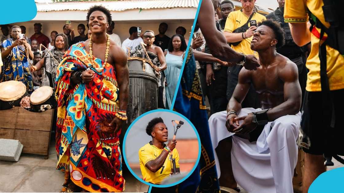 concert crowd concert crowd