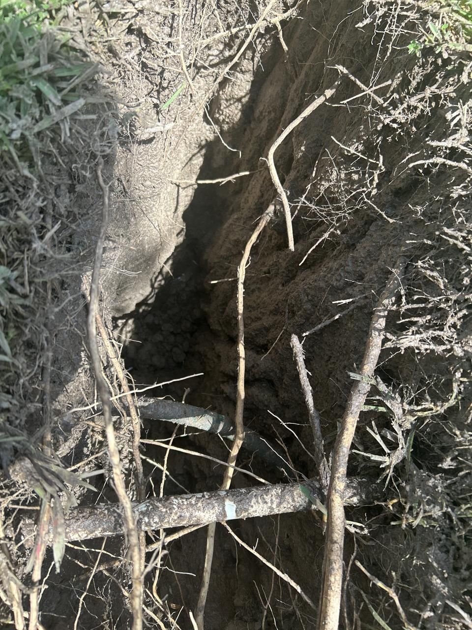 Exposed private utility showing the risk of digging on private property