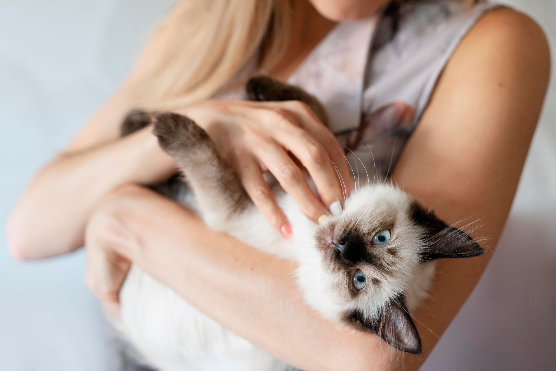 Une femme tient un chat dans ses bras, affichant une expression douce et affectueuse. Une femme tient un chat dans ses bras, affichant une expression douce et affectueuse.