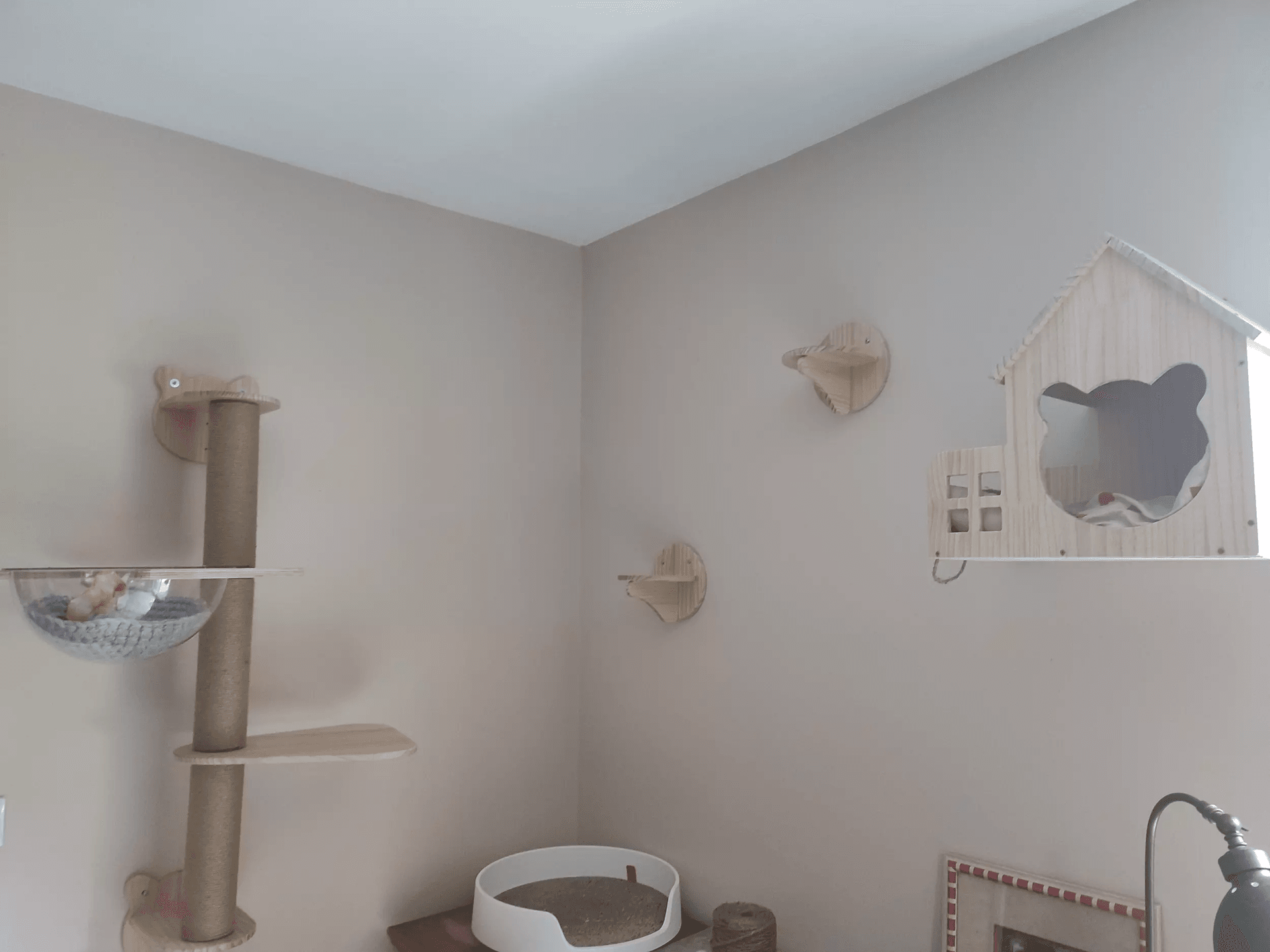 Parcours mural pour chat. Parcours mural pour chat.