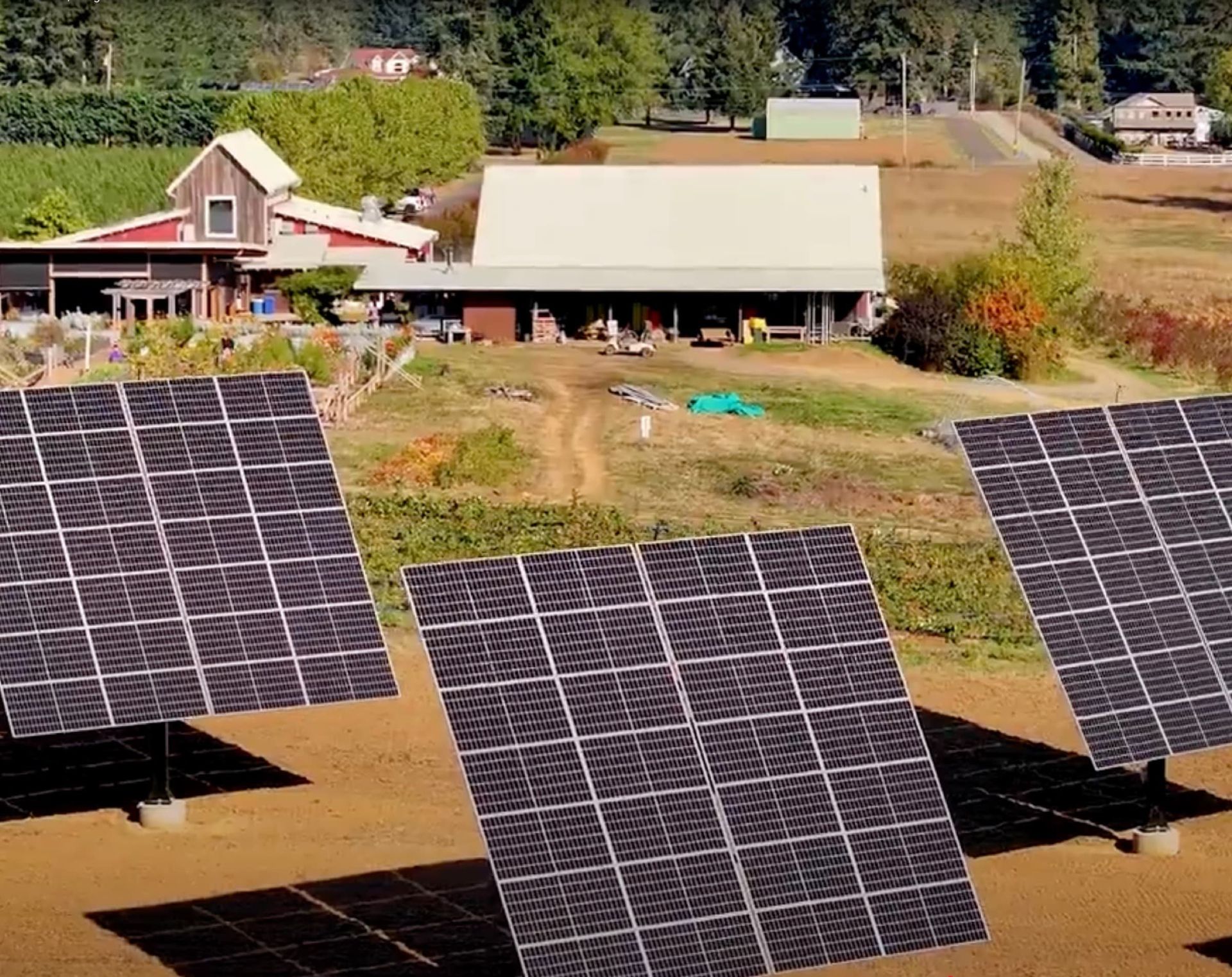 solar panels field solar panels field