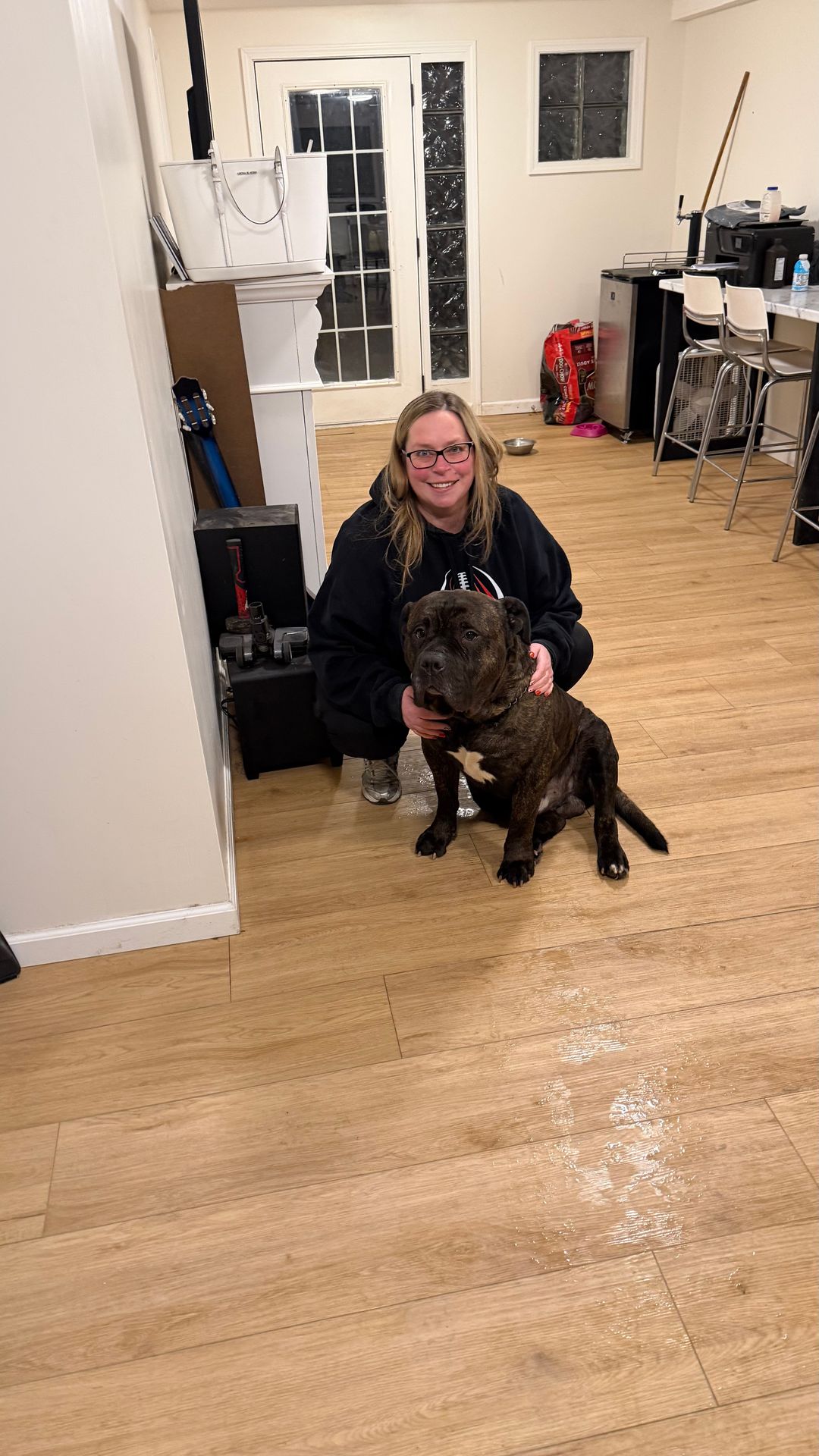 Drone Pet Reunification