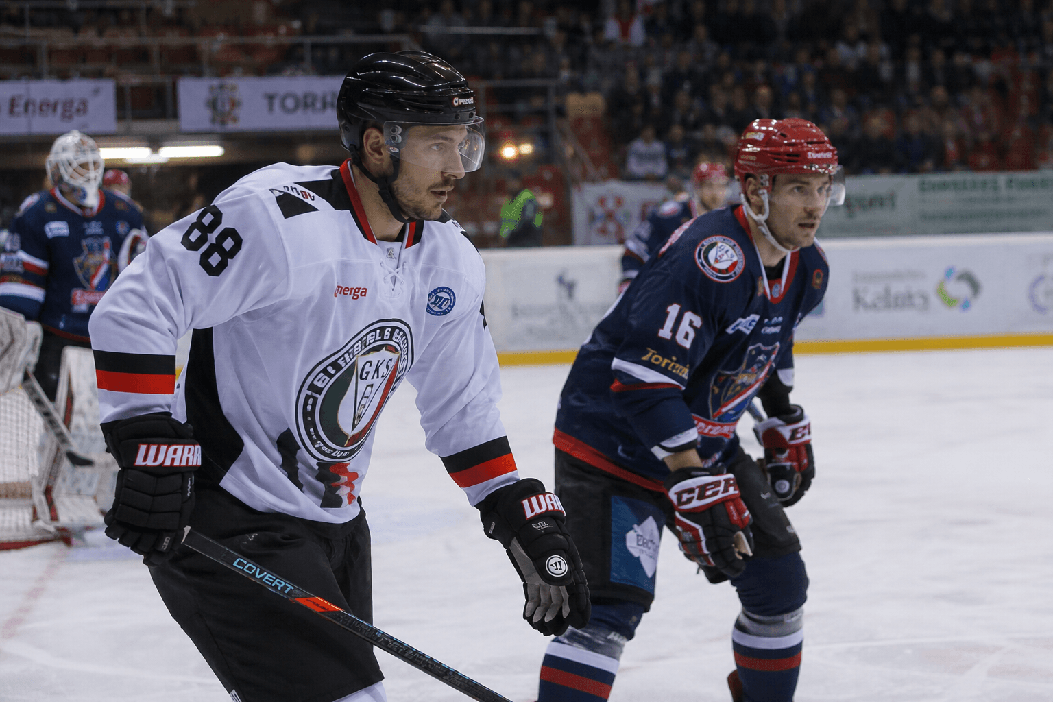 Professional ice hockey arena in Poland — Polska Hokej Liga Professional ice hockey arena in Poland — Polska Hokej Liga