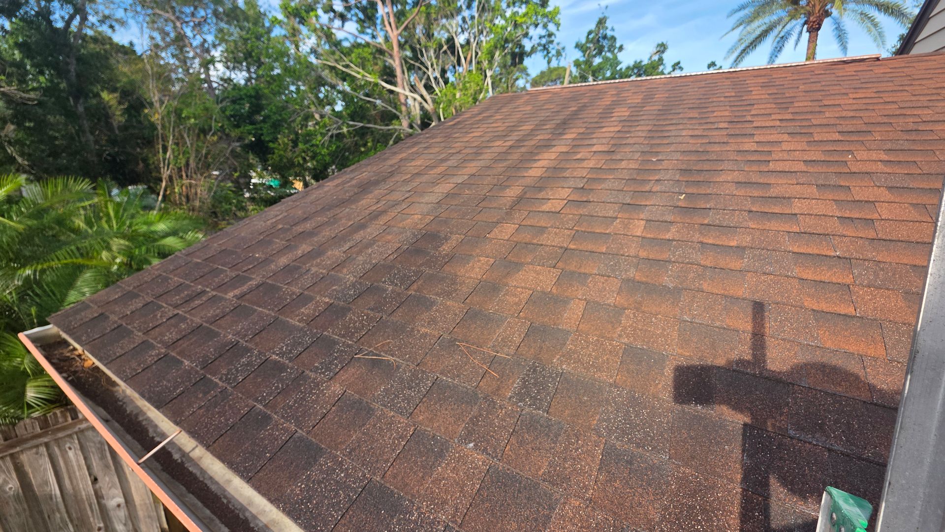 clean roof clean roof