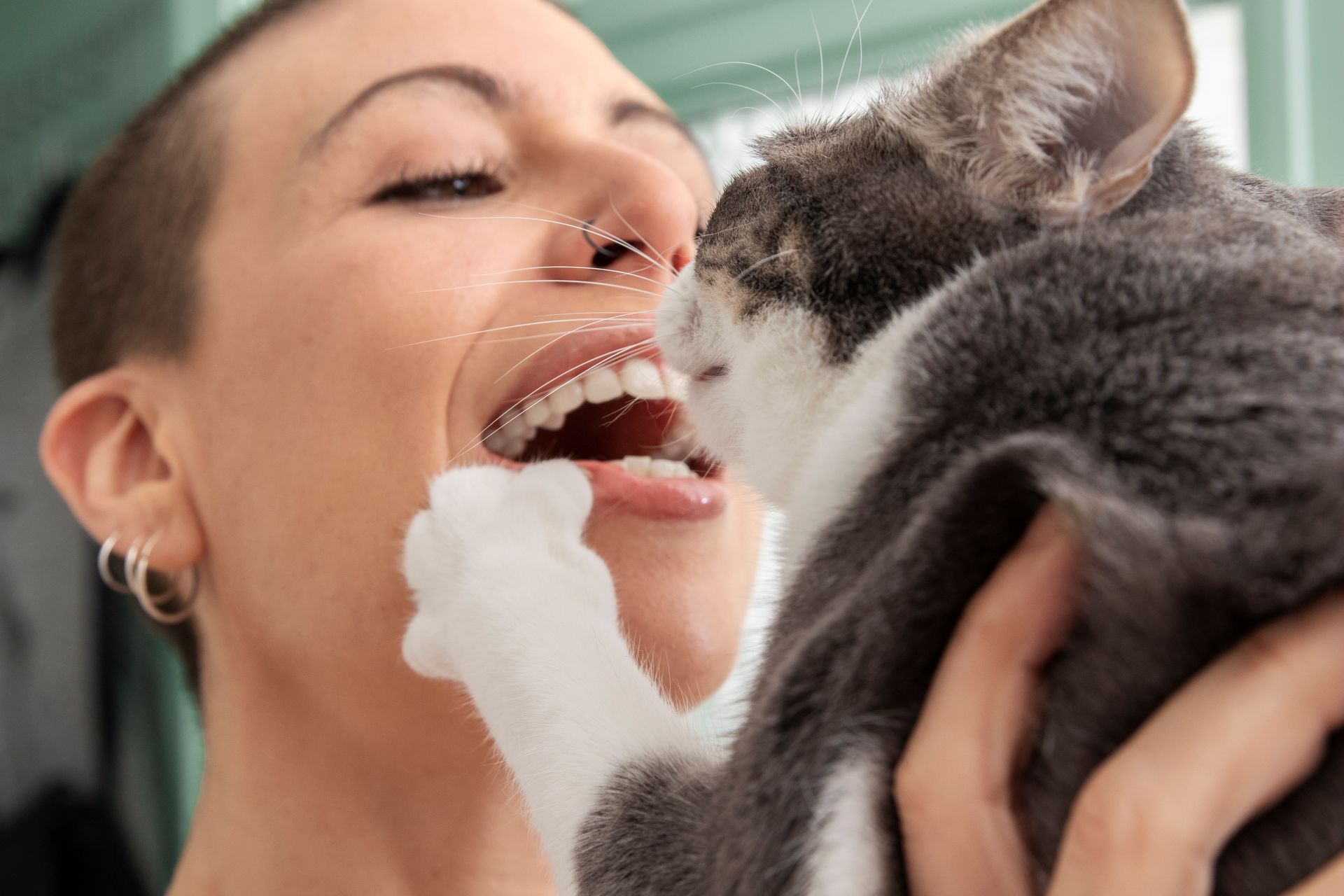 Chat face à face avec une femme qui sourit Chat face à face avec une femme qui sourit