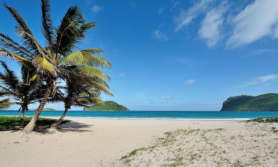 Beautiful tropical beach with white sand, turquoise waters, and leaning palm trees under a bright blue sky with distant green hills.