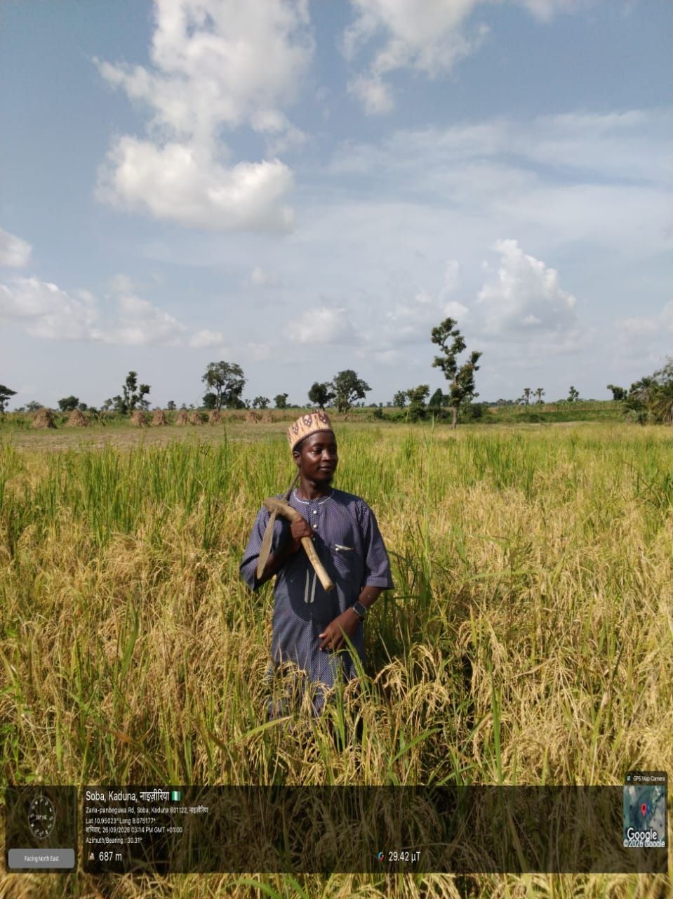 HumiK Ambassador at Soba, Kaduna State, showing his Rice farm cultivated with HumiK