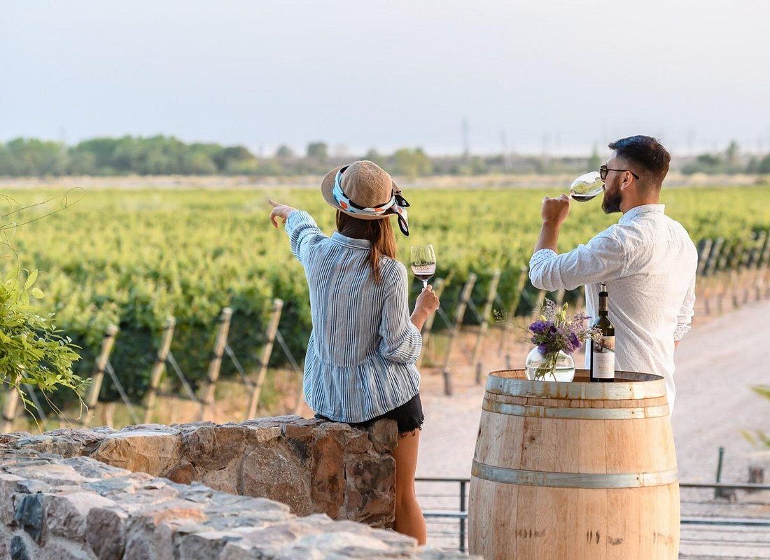 Wine tasting in Mendoza vineyards, Argentina