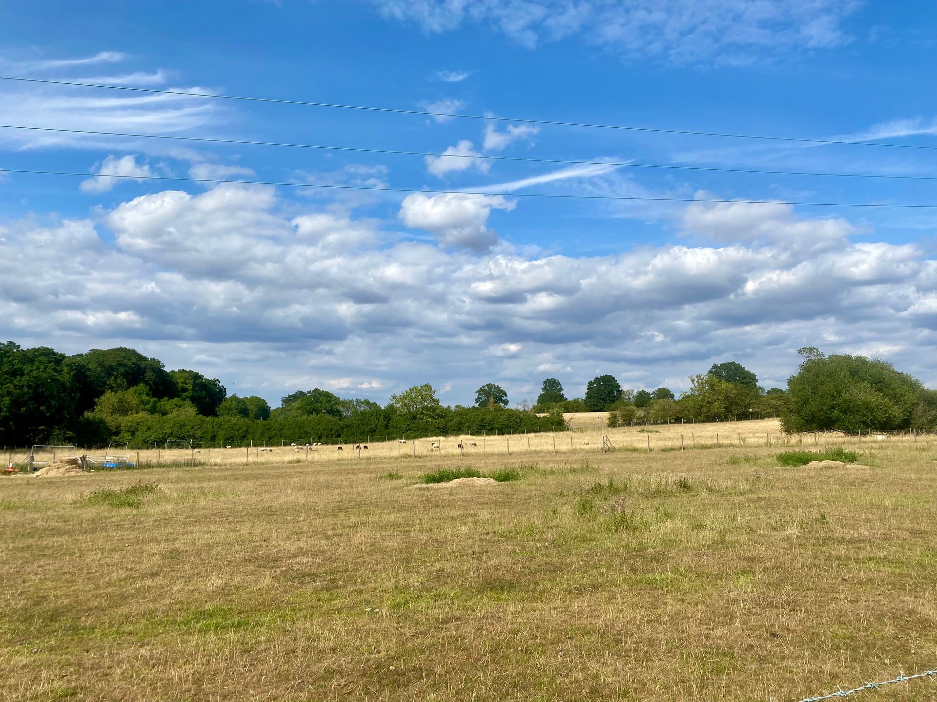 tranquil landscape