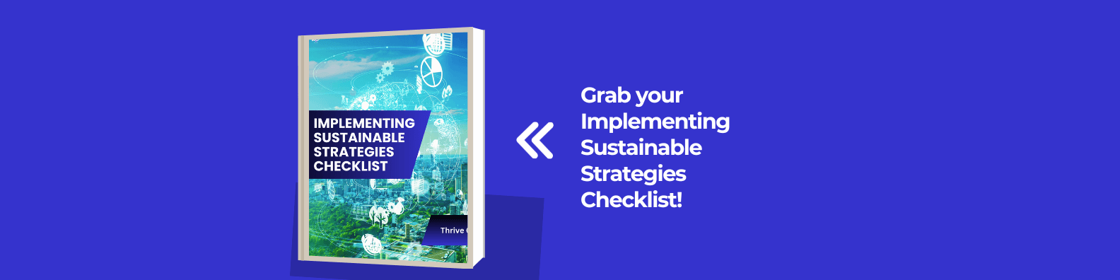 WiseBytes.co Implementing Sustainable Strategies Checklist