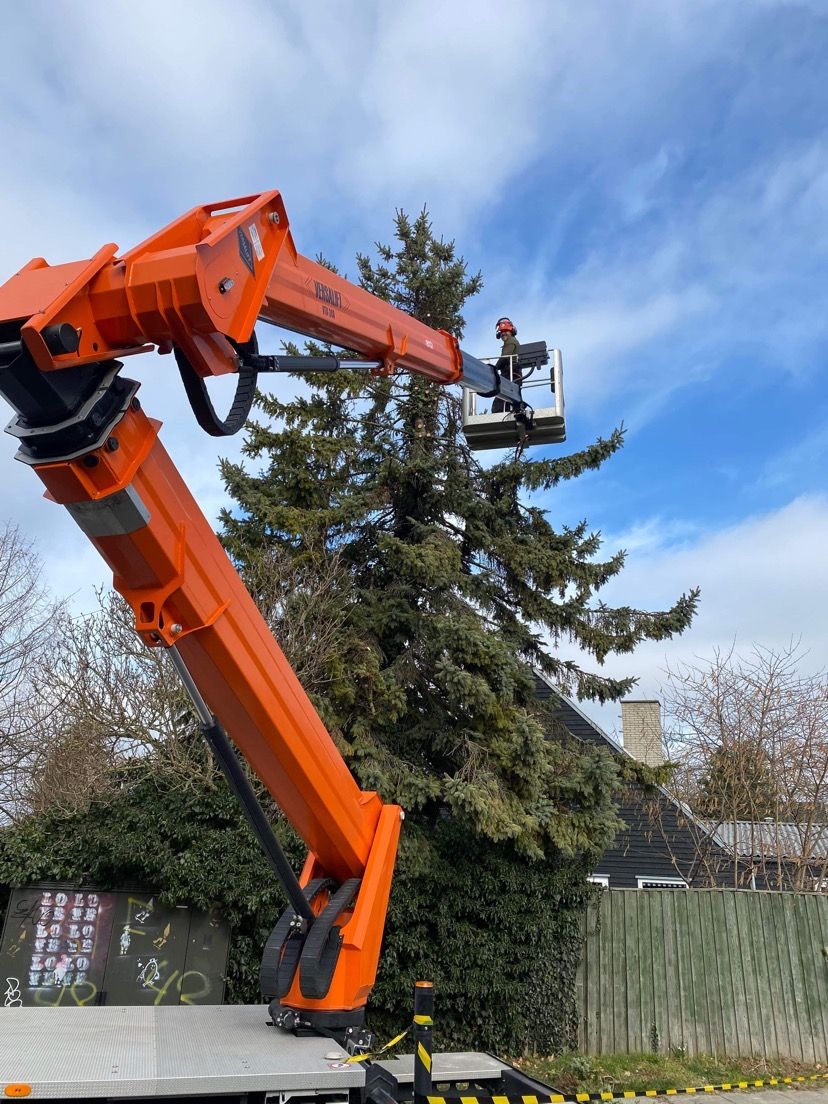 Gardening work, cutting branches with electric saw