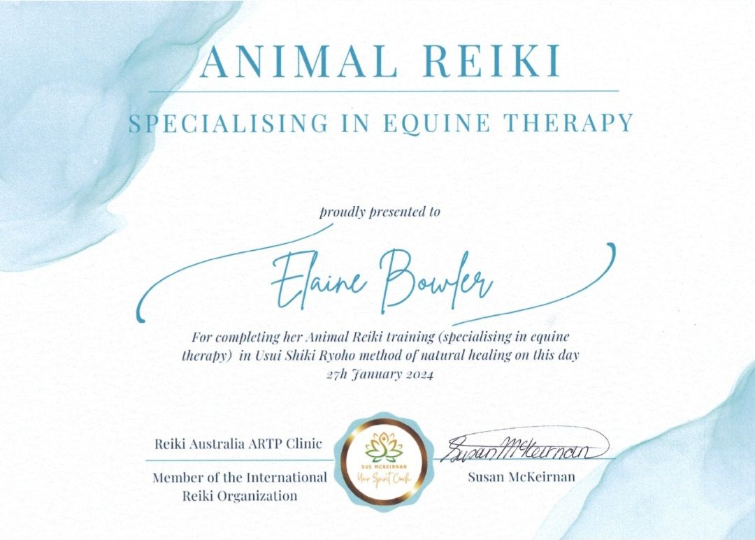 Equine & Animal Reiki Certificate