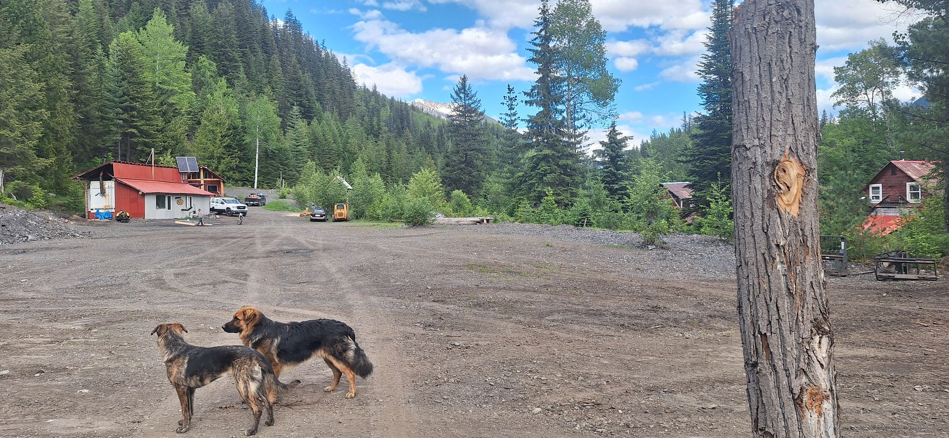 Ski Touring, Snowmobiling, Hiking, snowshoeing Camp Ground and Cabin Rentals. | The Ultimte Place for Outdoor Adventure photo 3