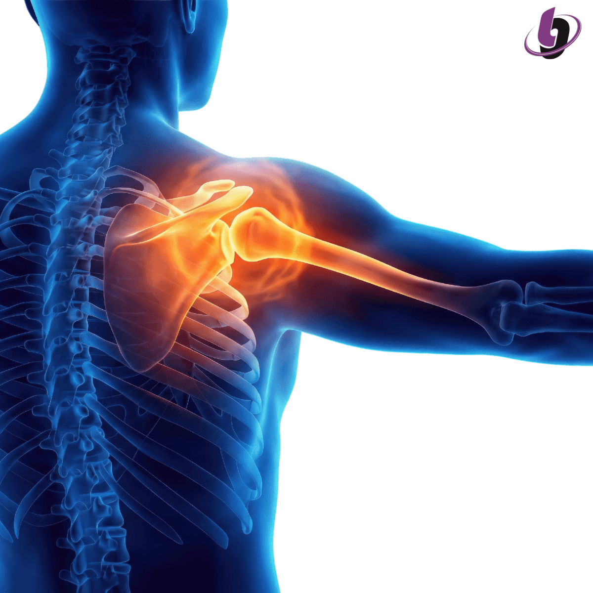 Illustration of the shoulder complex showing the relationship between shoulder mobility and joint control, highlighting how freedom of movement must be paired with stability for an efficient golf swing. Illustration of the shoulder complex showing the relationship between shoulder mobility and joint control, highlighting how freedom of movement must be paired with stability for an efficient golf swing.