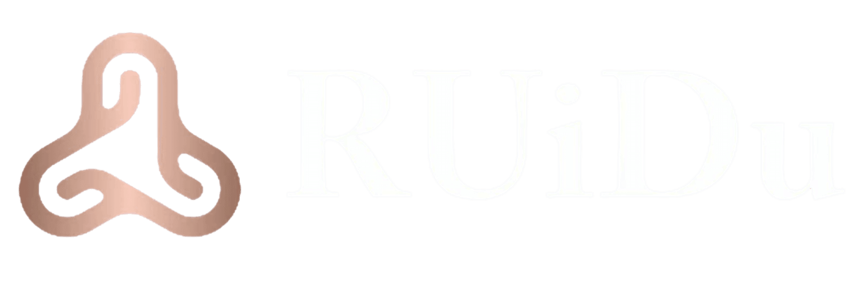 RUiDu瑞迪量化