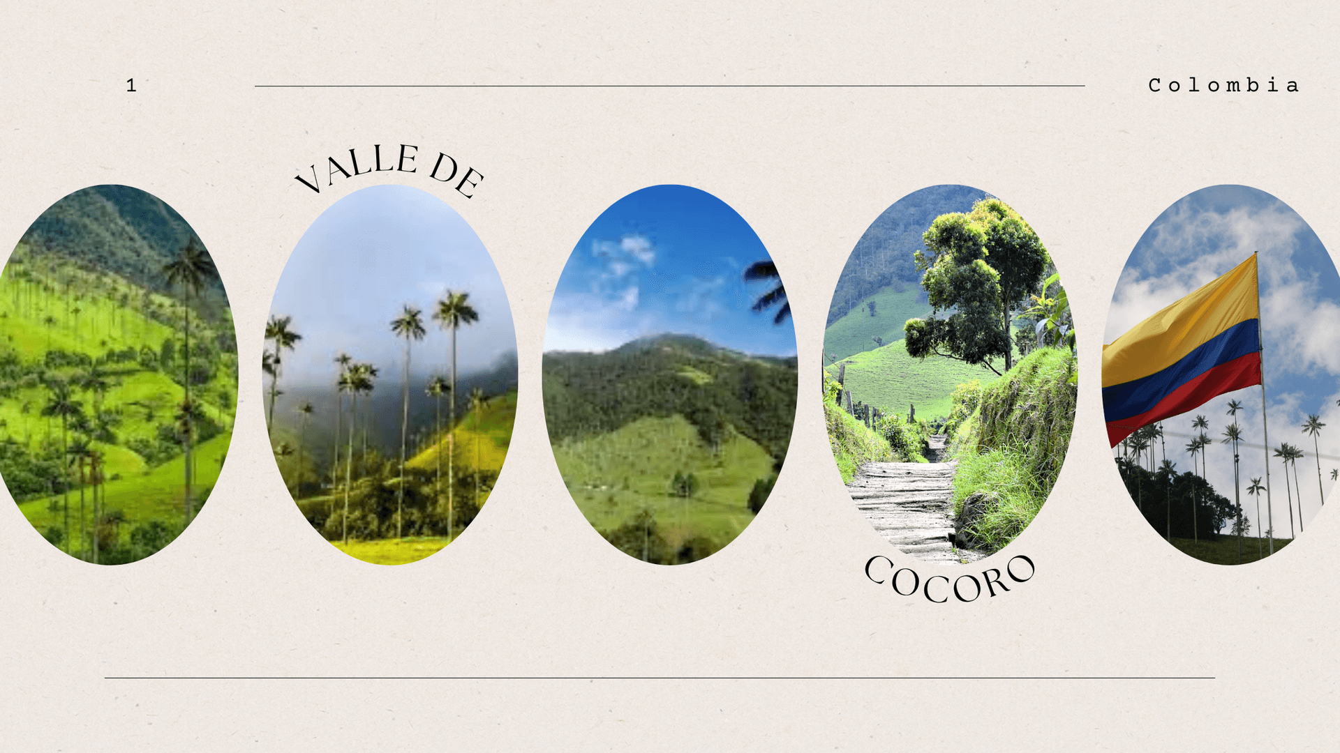 latin america landscape