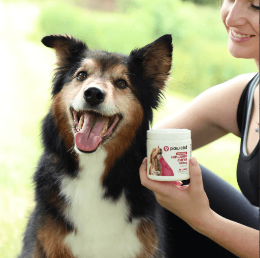 pet cbd pet cbd