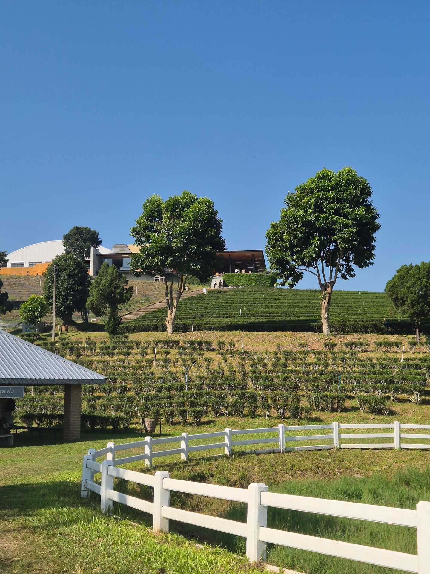 Shot during one of my first weeks in London.