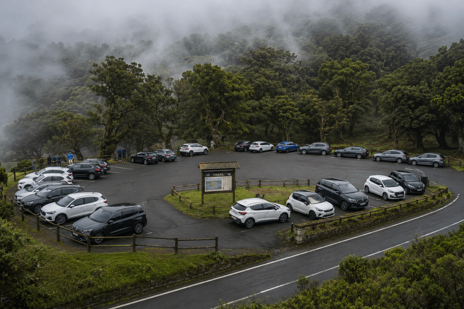 Parking area at Fanal Forest in Madeira.