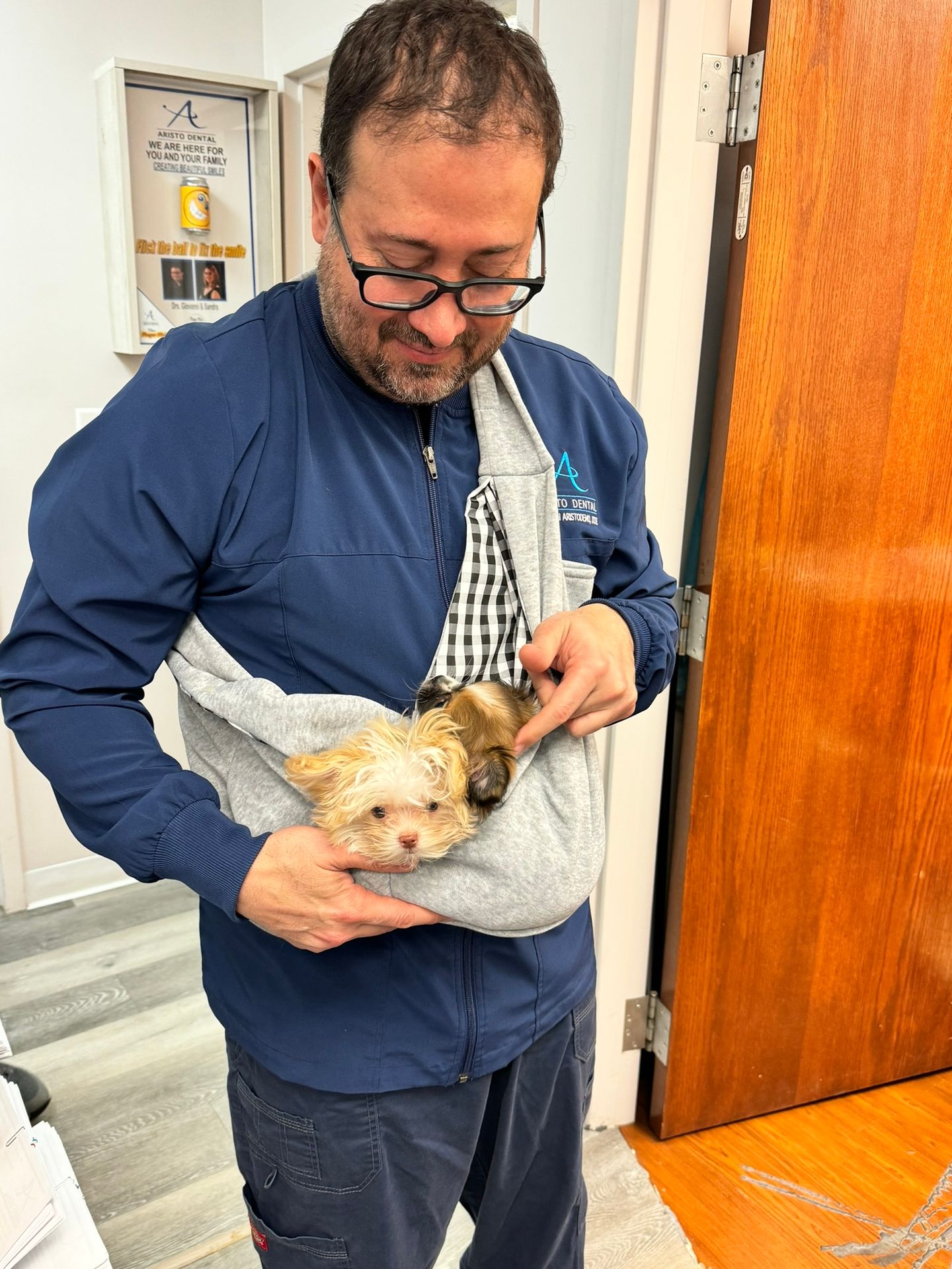 therapy dog therapy dog