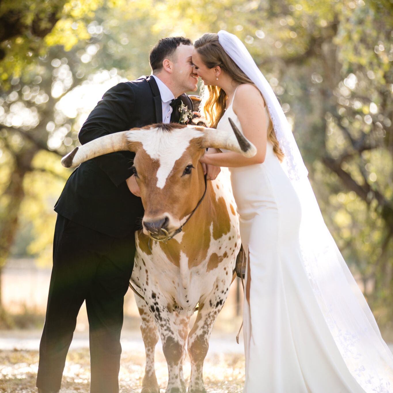 Texas Wedding Longhorn Texas Wedding Longhorn